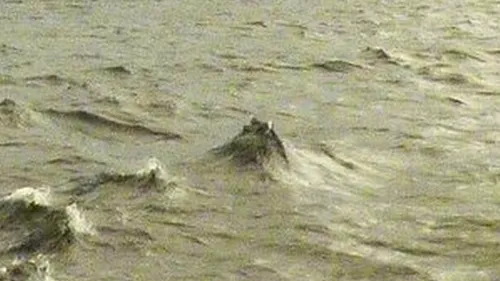 Un cercetător grec susține că l-a ''găsit'' pe monstrul din Loch Ness