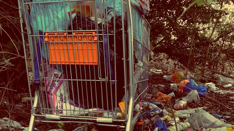 Modul ingenios prin care o femeie a reușit să îl identifice pe cel care a făcut o groapă de gunoi pe marginea drumului: „Autoritățile s-au purtat exemplar - FOTO 