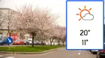 Cel mai călduros oraș din România la început de 2026. Vor fi 20 de grade Celsius în ianuarie