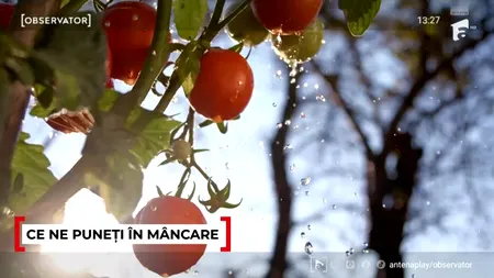 Cum ne pot pune sănătatea în pericol roșiile cu pesticide cumpărate din piață