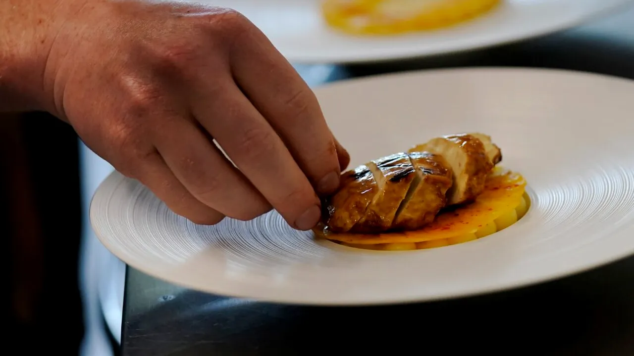 Carnea de PUI ar putea fi înlocuită de carnea pe bază de celule animale