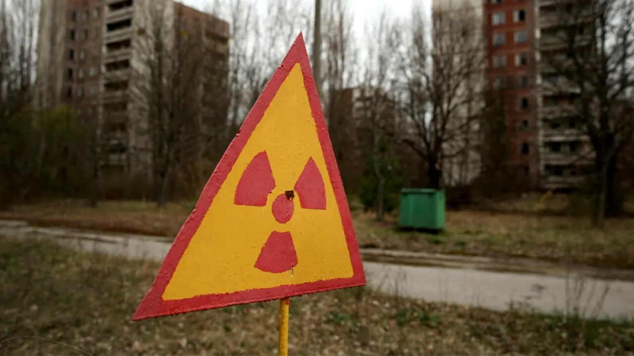 În 1986, imediat după dezastrul nuclear de la Cernobîl, oamenii de știință au plantat floarea-soarelui în solul contaminat. Ce a ieșit din pământ acum, după 40 de ani