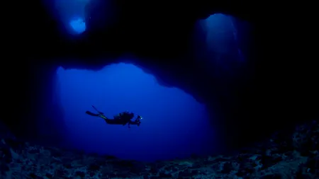 Ceva extraordinar se ascunde în adâncuri. Cercetătorii doresc să le găsească până nu e prea târziu