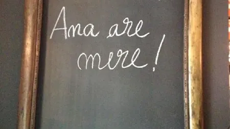 EVALUARE NAȚIONALĂ 2013. BAREMUL este corect: câte rezolvări are problema „Ana are mere