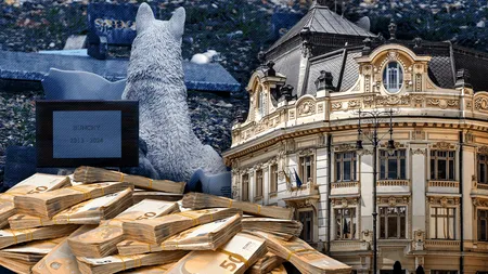 Primăria Sibiu investește aproape 2 milioane de euro într-un cimitir de animale. Vor și fi locuri VIP și SUPER VIP