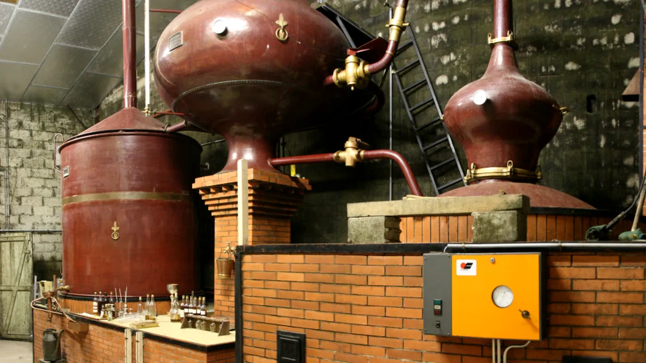 Parfum de campanie, distilat din oasele morților