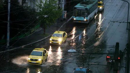 Cod galben de ploi și vijelii pentru Capitală! Mai mulți copaci au căzut în București! Recomandările ISU