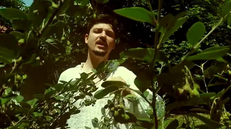 O piesă-pamflet dedicată lui Victor Ponta a devenit virală pe Internet. Ce este, de fapt, 