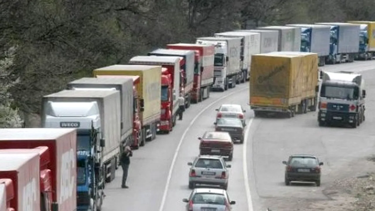 560 kg de marijuana, capturate dintr-un camion românesc la frontiera bulgaro-elenă 