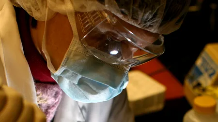 Cercetătorii japonezi au reușit să creeze un ficat uman 