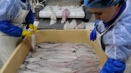 Norvegia a ridicat restricțiile pe piața muncii pentru români