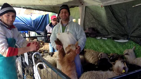 „Nu mai tăiați mieii și iezii în piețe!