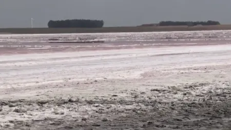 Cel mai sărat lac din România a secat. Movila Miresii s-a transformat într-un câmp de cristale