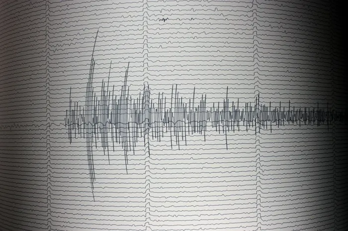 Cutremur / Sursa foto: Profimedia