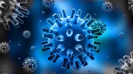 Cum funcționează imuno-oncologia,  tratamentul revoluționar al cancerului