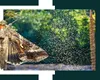 Invazie spectaculoasă de FLUTURI BUHA GAMMA în România. Cine sunt migratorii care au creat panică pe stadioanele din București