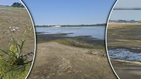 La Calafat poți trece la picior Dunărea până la Vidin