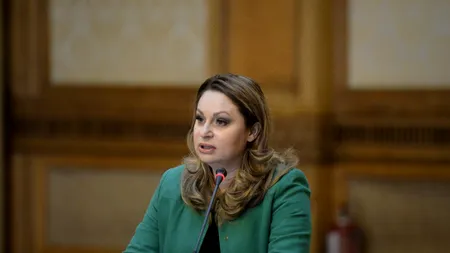 Cine este Cristina Pocora, viitoarea șefă a CNA. În 2010, ea propunea interzicerea desenelor animate violente