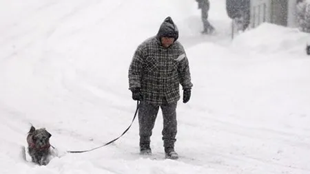 ISU: Peste 880 de persoane salvate în ultimele 24 de ore