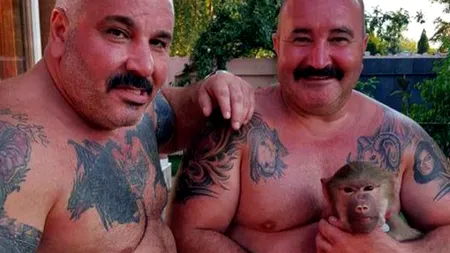 EXCLUSIV | Război în Capitală între clanurile Vancică și Cămătaru. Bătăușii s-au retras înainte să ajungă mașinile Poliției