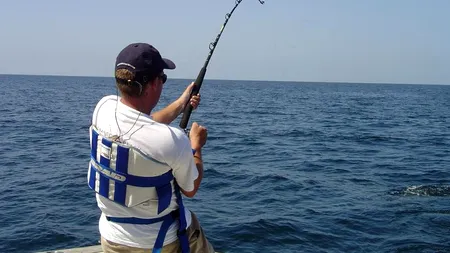 Captură impresionată: un pescar o pisică de mare de 400 de kilograme