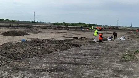 Rămășițele unui cavaler înmormântat cu tot cu cal, găsite pe traseul Centurii Vest Timișoara. Imagini inedite cu descoperirea arheologilor