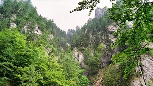 Turiști surprinși de o viitură pe Valea Caraiman din Bucegi. Salvamontiștii au plecat în căutarea lor