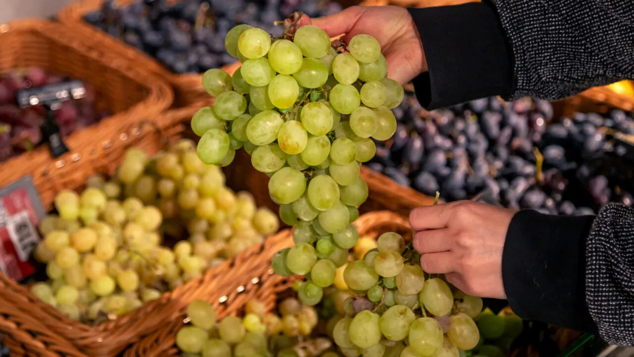 Cu cât se vinde 1 kilogram de struguri în piețele românești, în octombrie 2024