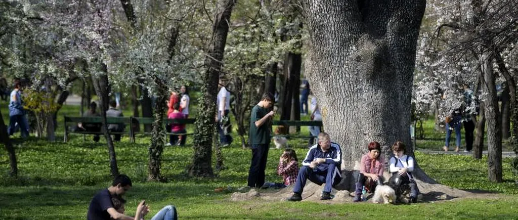 VREMEA - VREMEA ÎN BUCUREȘTI. Prognoza METEO pentru 8 și 9 mai