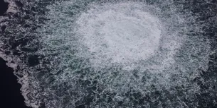 <span style='background-color: #00036d; color: #fff; ' class='highlight text-uppercase'>EXTERNE</span> Autoritățile germane au emis mandat de ARESTARE pe numele unui ucrainean implicat în sabotarea Nord Stream. Sunt vizați încă doi suspecți – presă