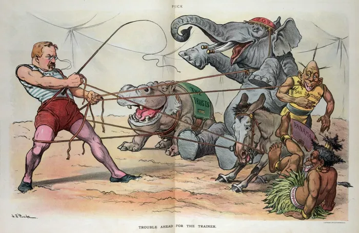 Caricatură din 1905 care îl prezintă pe președintele Theodore Roosevelt ca pe un dresor într-un circ, ținând un bici, în timp ce îi ține legați cu frânghii pe un hipopotam ce reprezintă„Trusturile”, un elefant etichetat „GOP” (Partidul Republican), un măgar etichetat „Panama” și doi băștinași etichetați „San Domingo” și „Filipine”. Sursa Foto: Profimedia 