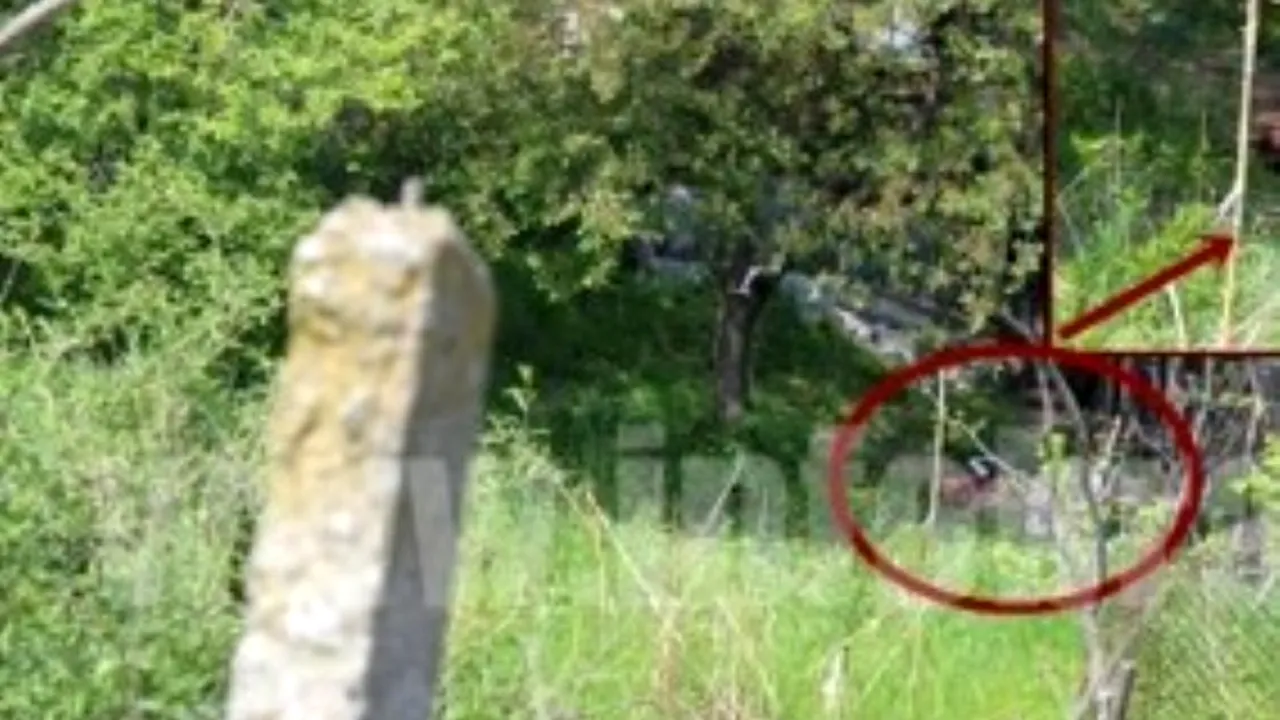 GOLGOTA lui Nea Stan, brăileanul care a murit sfâșiat de câini „mari ca niște urși