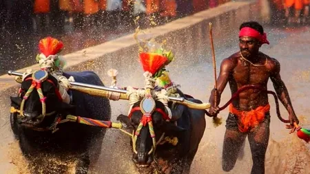 Un muncitor din India e mai rapid decât Usain Bolt! A bătut recordul atletului jamaican la sprint pe 100 metri, alergând cu doi bivoli