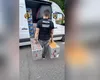 Zeci de PORUMBEI valoroși au fost furați din Belgia și ascunși în Mehedinți. Prejudiciul se ridică la 2,2 milioane de euro