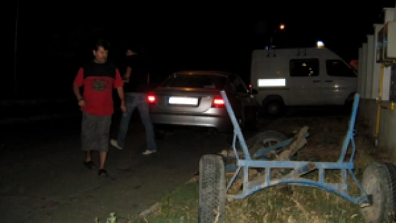 Zece autoturisme au fost avariate de un cal scăpat de sub control de proprietar, în Deva