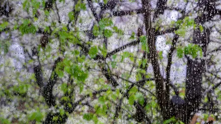 Vreme INSTABILĂ de 1 aprilie. Temperaturi peste medie, dar și averse în România