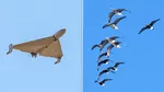 Alertă aeriană în Polonia după detectarea unei ținte venite dinspre Belarus. Era un stol de păsări