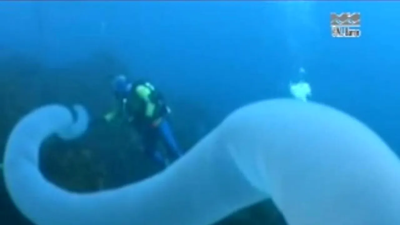 VIDEO. Imagini rare cu 