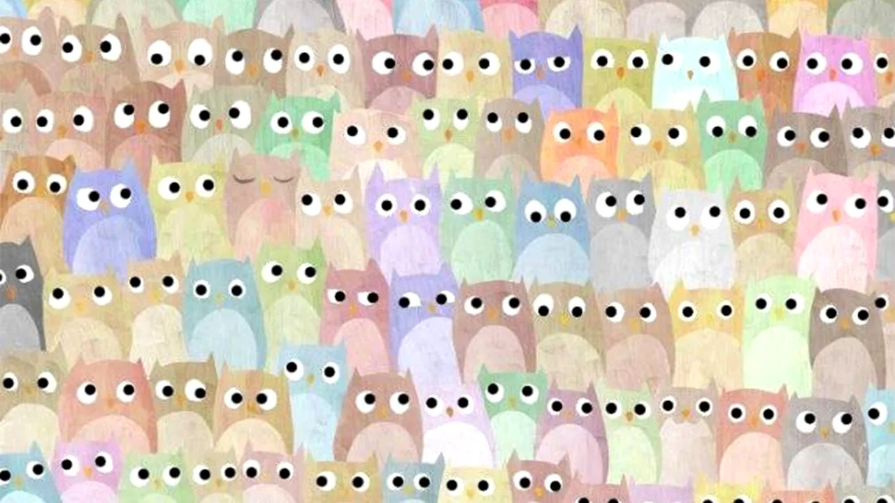 Iluzie optică VIRALĂ | Găsiți pisica ascunsă printre bufnițele din imagine!