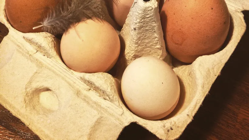 Care este diferența dintre ouăle cu coajă albă și cele cu coajă maronie?
