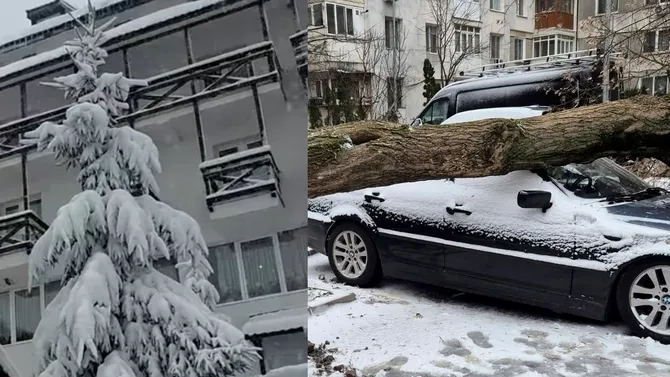 Crăciun cu zăpadă în România. Incidente în Capitală și peisaje de poveste în stațiuni