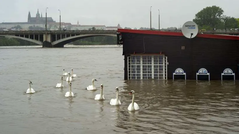 Valul de inundații atinge apogeul la Praga și se îndreaptă spre nordul țării. Opt persoane au murit