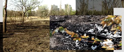 EXCLUSIV VIDEO | Dezastrul ecologic din apropierea Parcului IOR pare fără sfârșit: Ce s-a întâmplat aici este o crimă