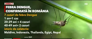 Specialiștii români AVERTIZEAZĂ asupra bolilor tropicale, răspândite de țânțari. 7 cazuri de febră dengue, confirmate în România, anul acesta