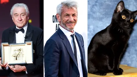 17 August, calendarul zilei: Robert De Niro împlinește 83 de ani, Sean Penn 66. Ziua internațională de apreciere a pisicilor negre