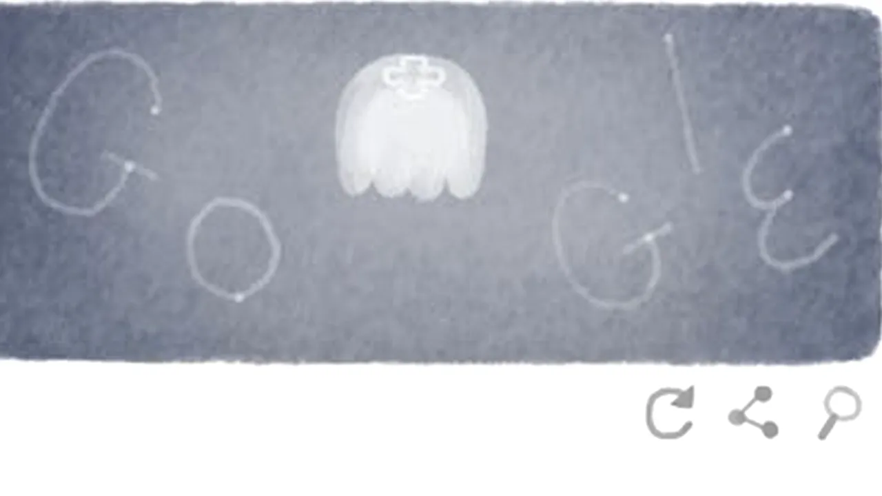 ZIUA PĂMÂNTULUI. PASĂREA COLIBRI, MACACUL  JAPONEZ, CAMELEONUL, PEȘTELE-BALON și MEDUZA, sărbătorite de Google de ZIUA PĂMÂNTULUI