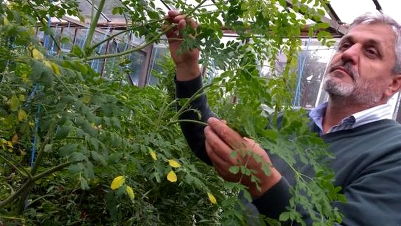 VIDEO Protest de amploare la Buzău după ce primarul acuză o demitere „făcută noaptea, ca hoții