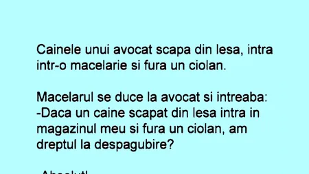 BANCUL ZILEI | Măcelarul, avocatul și câinele