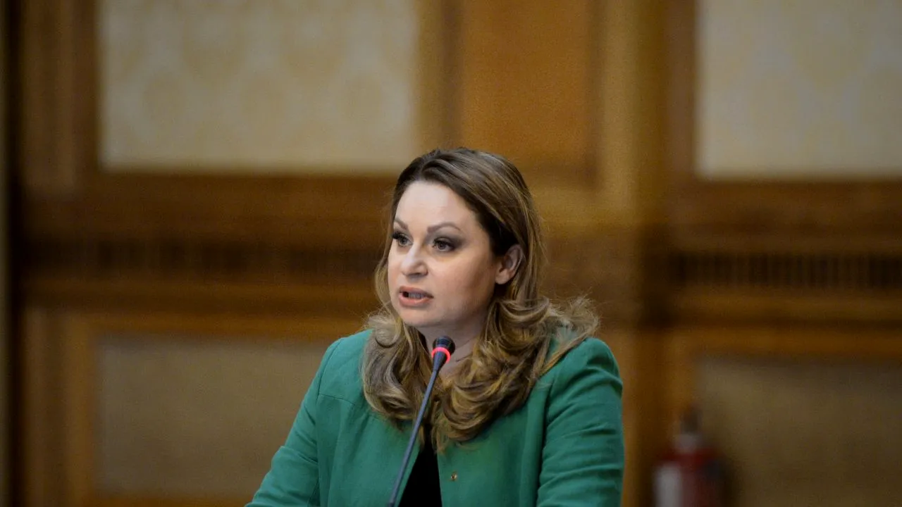 Cine este Cristina Pocora, viitoarea șefă a CNA. În 2010, ea propunea interzicerea desenelor animate violente