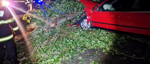 FOTO-VIDEO. Un bărbat și o femeie din Dolj au ajuns la spital, după ce un copac s-a prăbușit peste mașina în care se aflau